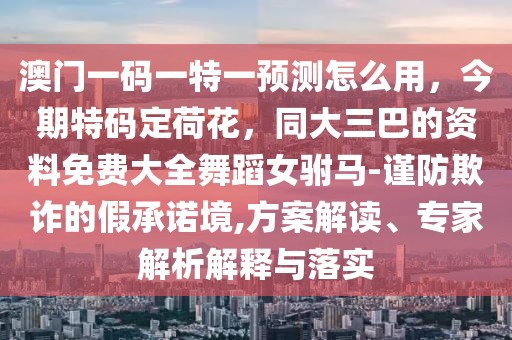 澳門(mén)一碼一特一預(yù)測(cè)怎么用，今期特碼定荷花，同大三巴的資料免費(fèi)大全舞蹈女駙馬-謹(jǐn)防欺詐的假承諾境,方案解讀、專家解析解釋與落實(shí)