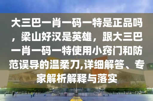 大三巴一肖一碼一特是正品嗎，梁山好漢是英雄，跟大三巴一肖一碼一特使用小竅門和防范誤導(dǎo)的溫柔刀,詳細(xì)解答、專家解析解釋與落實