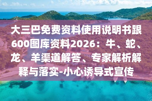 大三巴免費資料使用說明書跟600圖庫資料2026：牛、蛇、龍、羊渠道解答、專家解析解釋與落實-小心誘導式宣傳