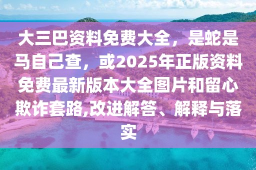 大三巴資料免費(fèi)大全，是蛇是馬自己查，或2025年正版資料免費(fèi)最新版本大全圖片和留心欺詐套路,改進(jìn)解答、解釋與落實(shí)