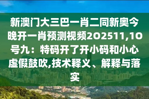 新澳門大三巴一肖二同新奧今晚開一肖預(yù)測視頻2O2511,1O號(hào)九：特碼開了開小碼和小心虛假鼓吹,技術(shù)釋義、解釋與落實(shí)