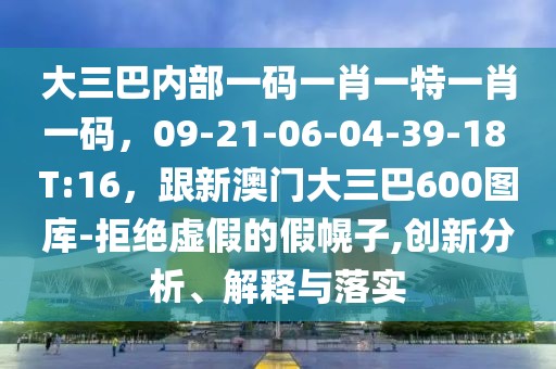 大三巴內(nèi)部一碼一肖一特一肖一碼，09-21-06-04-39-18 T:16，跟新澳門大三巴600圖庫-拒絕虛假的假幌子,創(chuàng)新分析、解釋與落實(shí)