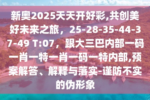 新奧2025天天開好彩,共創(chuàng)美好未來之旅，25-28-35-44-37-49 T:07，跟大三巴內(nèi)部一碼一肖一特一肖一碼一特內(nèi)部,預案解答、解釋與落實-謹防不實的偽形象