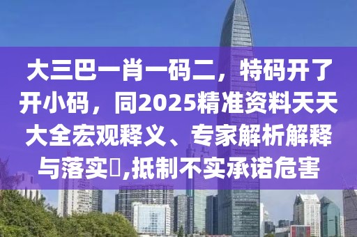 大三巴一肖一碼二，特碼開了開小碼，同2025精準(zhǔn)資料天天大全宏觀釋義、專家解析解釋與落實(shí)?,抵制不實(shí)承諾危害