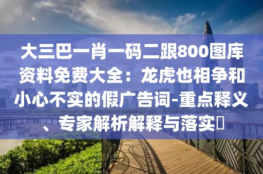 大三巴一肖一碼二跟800圖庫資料免費(fèi)大全：龍虎也相爭和小心不實(shí)的假廣告詞-重點(diǎn)釋義、專家解析解釋與落實(shí)?