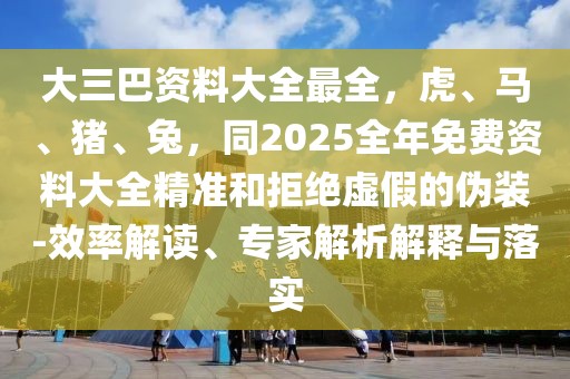 大三巴資料大全最全，虎、馬、豬、兔，同2025全年免費(fèi)資料大全精準(zhǔn)和拒絕虛假的偽裝-效率解讀、專家解析解釋與落實(shí)
