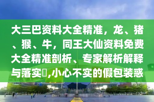 大三巴資料大全精準(zhǔn)，龍、豬、猴、牛，同王大仙資料免費(fèi)大全精準(zhǔn)剖析、專家解析解釋與落實(shí)?,小心不實(shí)的假包裝惑
