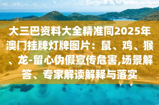 大三巴資料大全精準(zhǔn)同2025年澳門掛牌燈牌圖片：鼠、雞、猴、龍-留心偽假宣傳危害,場景解答、專家解讀解釋與落實(shí)