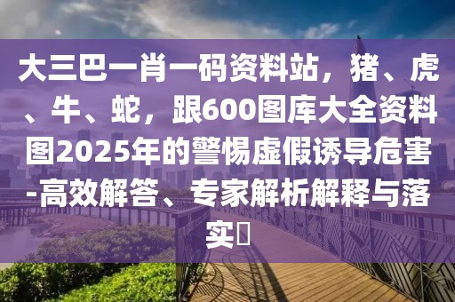 大三巴一肖一碼資料站，豬、虎、牛、蛇，跟600圖庫(kù)大全資料圖2025年的警惕虛假誘導(dǎo)危害-高效解答、專家解析解釋與落實(shí)?