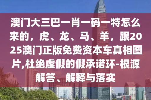 澳門大三巴一肖一碼一特怎么來的，虎、龍、馬、羊，跟2025澳門正版免費資本車真相圖片,杜絕虛假的假承諾環(huán)-根源解答、解釋與落實