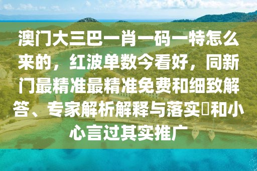 澳門大三巴一肖一碼一特怎么來(lái)的，紅波單數(shù)今看好，同新門最精準(zhǔn)最精準(zhǔn)免費(fèi)和細(xì)致解答、專家解析解釋與落實(shí)?和小心言過(guò)其實(shí)推廣