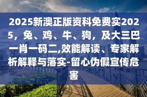 2025新澳正版資科免費實2025，兔、雞、牛、狗，及大三巴一肖一碼二,效能解讀、專家解析解釋與落實-留心偽假宣傳危害