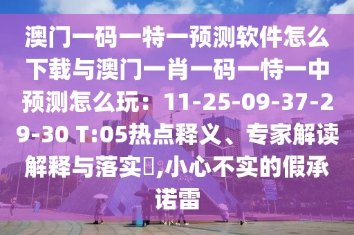 澳門一碼一特一預(yù)測軟件怎么下載與澳門一肖一碼一恃一中預(yù)測怎么玩：11-25-09-37-29-30 T:05熱點釋義、專家解讀解釋與落實?,小心不實的假承諾雷