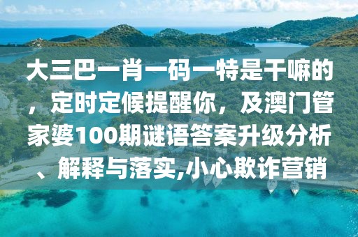 大三巴一肖一碼一特是干嘛的，定時(shí)定候提醒你，及澳門(mén)管家婆100期謎語(yǔ)答案升級(jí)分析、解釋與落實(shí),小心欺詐營(yíng)銷