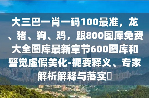 大三巴一肖一碼100最準(zhǔn)，龍、豬、狗、雞，跟800圖庫免費大全圖庫最新章節(jié)600圖庫和警覺虛假美化-扼要釋義、專家解析解釋與落實?